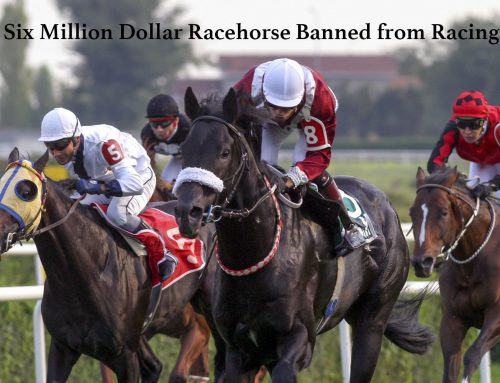 Six Million Dollar Horse Banned from Racing