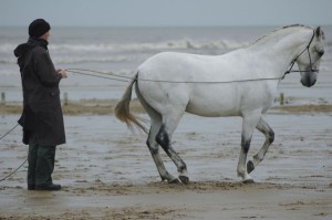 Ainsdale Beach 2005 0025 web 